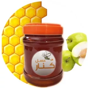 کوشاه عسل ارگانیک کنار 500گ