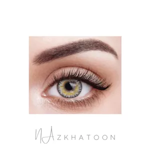 لنز رنگی چشم نیو ویژن اسپایس گری 3 | New Vision Colored Eye Contact Lens Spice Gray 3