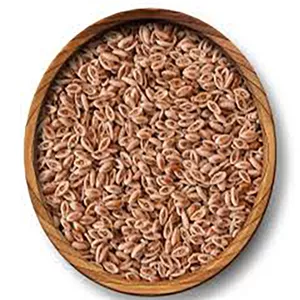 اسفرزه اعلاء دارالشفاء