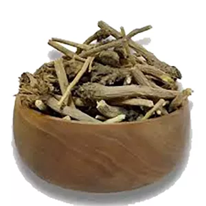 ریشه کاسنی تنظیم کننده قندخون دارالشفاء