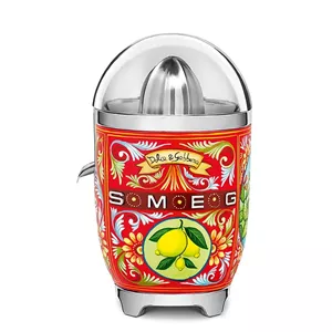 آب مرکبات گیری اسمگ مدل CJF01DG