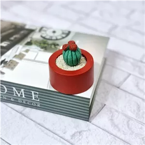 گلدان کاکتوس مبلمونسرا مدل 283776