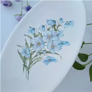 دیس سرامیک پذیرایی، گلدار2 مبلمونسرا مدل 271234