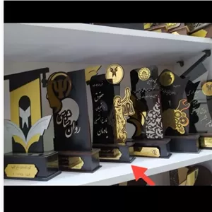 تندیس فارغ التحصیلی تمامی رشته ها مبلمونسرا مدل 252439