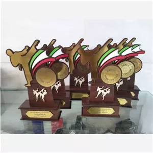 تندیس ورزشی رزمی مبلمونسرا مدل 251783