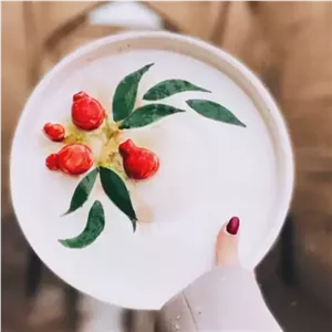 دیس سرامیکی گرد اناری سایز بزرگ مبلمونسرا مدل 271300