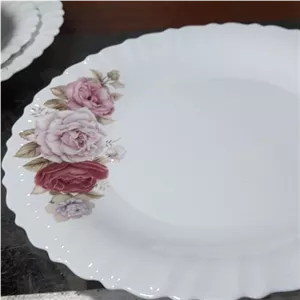 آرکوپال فله دیسبیضی بزرگ گل محمدی ارسال رایگان یک عددی سایر اقلام این تیکه موجوده سفارش دهید مبلمونسرا مدل 270279