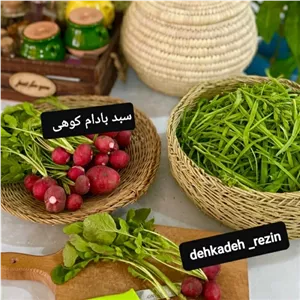 سبد ترکه بادام کوهی 50 سانت بافت عالی محکم هزینه ارسال رایگان مبلمونسرا مدل 272434