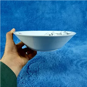 کاسه سالاد چینی پارس کد 974 بسته 2 عددی مبلمونسرا مدل 274504