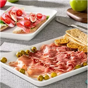 دیس تخت چینی بسته 2عددی مبلمونسرا مدل 270045