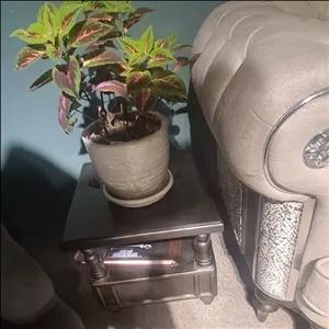 جلومبلی و عسلی دوطبقه کشودار چهاردانگه مبلمونسرا مدل 220762