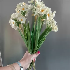 گل نرگس شیرازی خمیری شاخه بلند با پیاز و ریشه مبلمونسرا مدل 259491