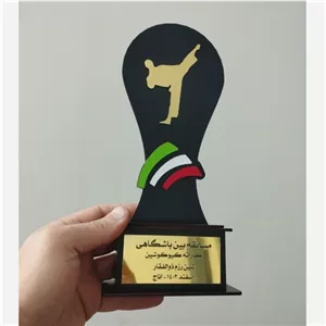 تندیس ورزشی طرح کاراته مبلمونسرا مدل 251245