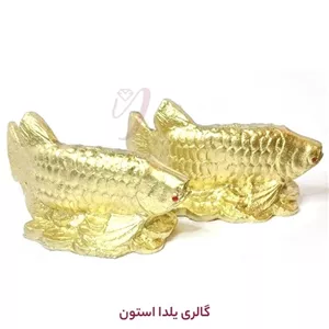مجسمه ماهی آروانا جفت مبلمونسرا مدل 252952
