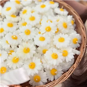 شمع بابونه گیفت بابونه شمع مارگاریت شمع گل گیفت شمعی گیفت مارگاریت مبلمونسرا مدل 286586
