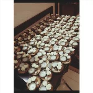 پک 40 عددی گیفت عروس و عقد گیفت عروسی استند چوبی و تزئینات شمع و اسم و صدف وگل مبلمونسرا مدل 280017