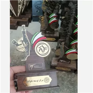 تندیس چوبی تکواندو مبلمونسرا مدل 251280