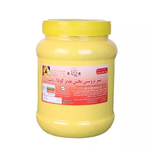 پنیر دیپ 1 کیلویی دگا