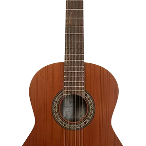 گیتار P40 پارسی