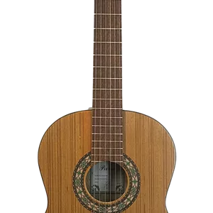 گیتار P70 پارسی