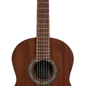 گیتار پارسی