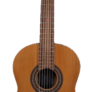 گیتار پارسی