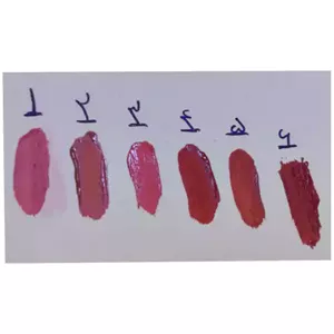 رُژگونه پد دار مایع 24 ساعته دوسه