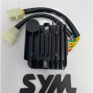 شارژر اورجینال adv175 sym هاسکی