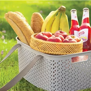 سبد پیک نیک دسته دار آریسام