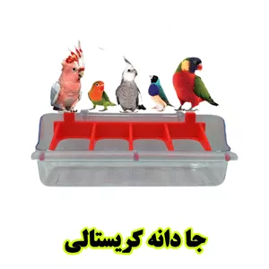جا دانی کریستال پرندگان | جا دانه شفاف و مقاوم