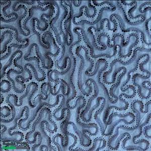 پارچه جین کار شده طرح مارپیچ