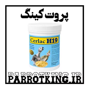 غذای کمکی برند H19 وزن 500 گرم مناسب انواع طوطی سانان کوچک چثه و بزرگ چثه