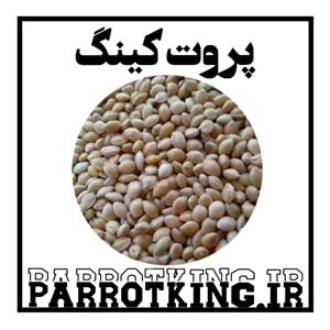 ارزن ایرانی درجه یک مخصوص پرندگان زینتی