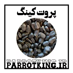 تخمه خام سیاه مخصوص پرندگان طوطی سانان
