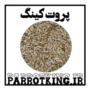 کتان درجه یک اردبیل