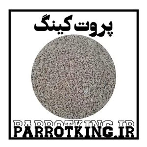 غذای پرندگان و طیور گندم درجه یک کبوتر و مرغ