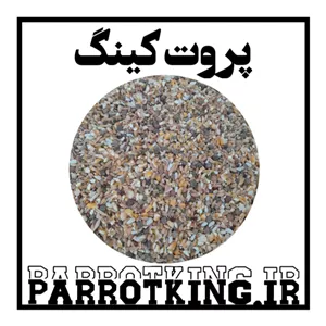 غذای کبوتر مخلوط روزانه