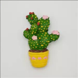 مگنت کاکتوس