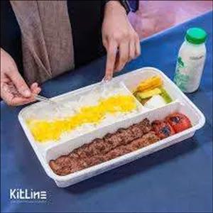 ظرف سه خانه کبابی گیاهی آملون