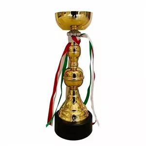 کاپ قهرمانی کد IR021 تکی 25 سانت
