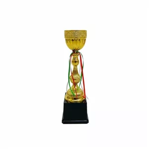 کاپ قهرمانی کد IR013 تکی 36 سانت
