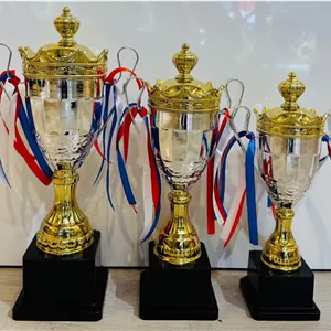 کاپ قهرمانی کد IR049 تکی