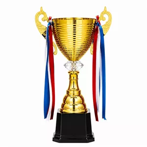 کاپ قهرمانی کد IR034 تکی