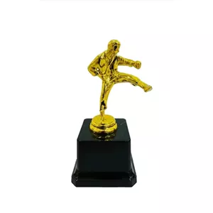 تندیس کاراته h13