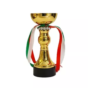 کاپ قهرمانی کد IR015 تکی 20 سانت