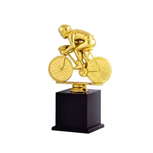 تندیس دوچرخه سواری