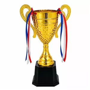 کاپ قهرمانی کد IR037 تکی