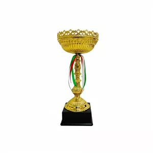 کاپ قهرمانی کد IR019 تکی 43 سانت