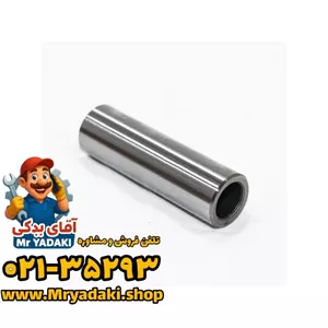 گژن پین فونیکس FX