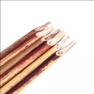 قلم نی دزفولی اعتدال 